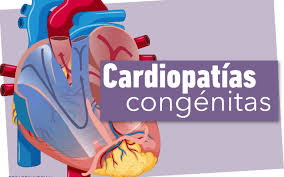 http://arbia.org.ar/imagenes/cardio.jpeg